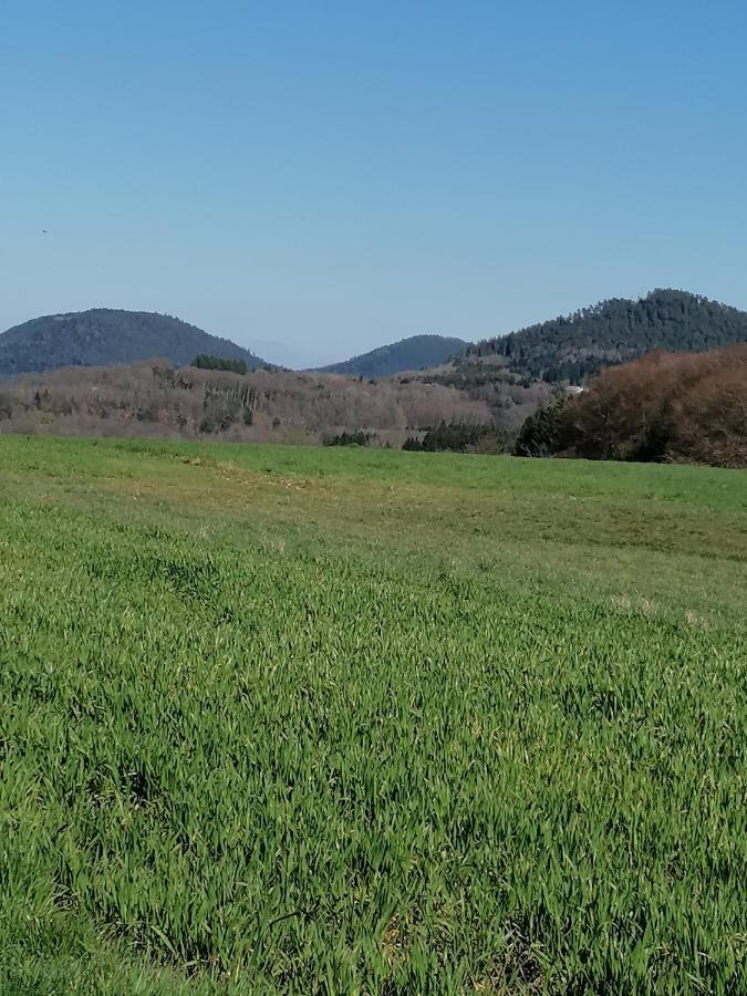 Air Paix Le Mont Villa Herpelmont Екстериор снимка