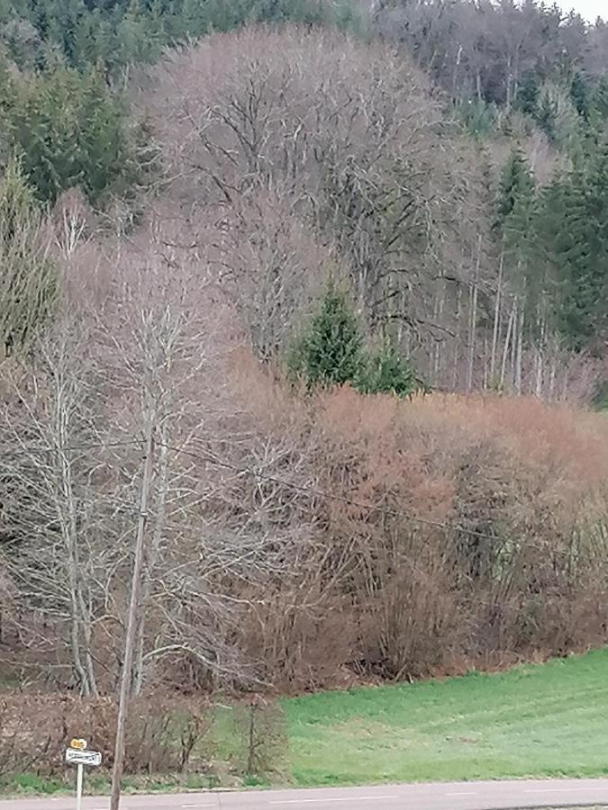 Air Paix Le Mont Villa Herpelmont Екстериор снимка